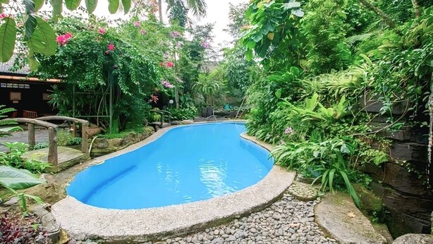 Piscina rodeada por vegetação exuberante e um caminho de pedra.