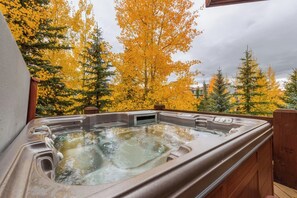 Outdoor spa tub - Beautiful 3 BDR Telluride Escape Close to Skiing with Private Hot Tub (Mountain Village)