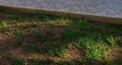 Finca for events (family reunions, birthdays, weddings, seminars...)