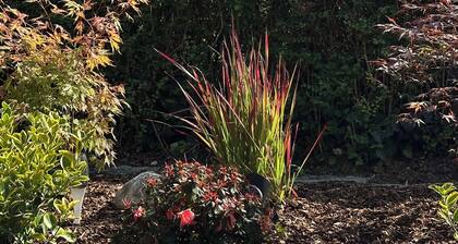 Terrace apartment 'Kleine Perle' with view of Lake Constance