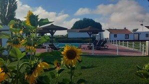 Un espace aménagé au bord de la piscine, agrémenté de tournesols, de chaises longues et d’un bâtiment doté d’un toit en tuiles.