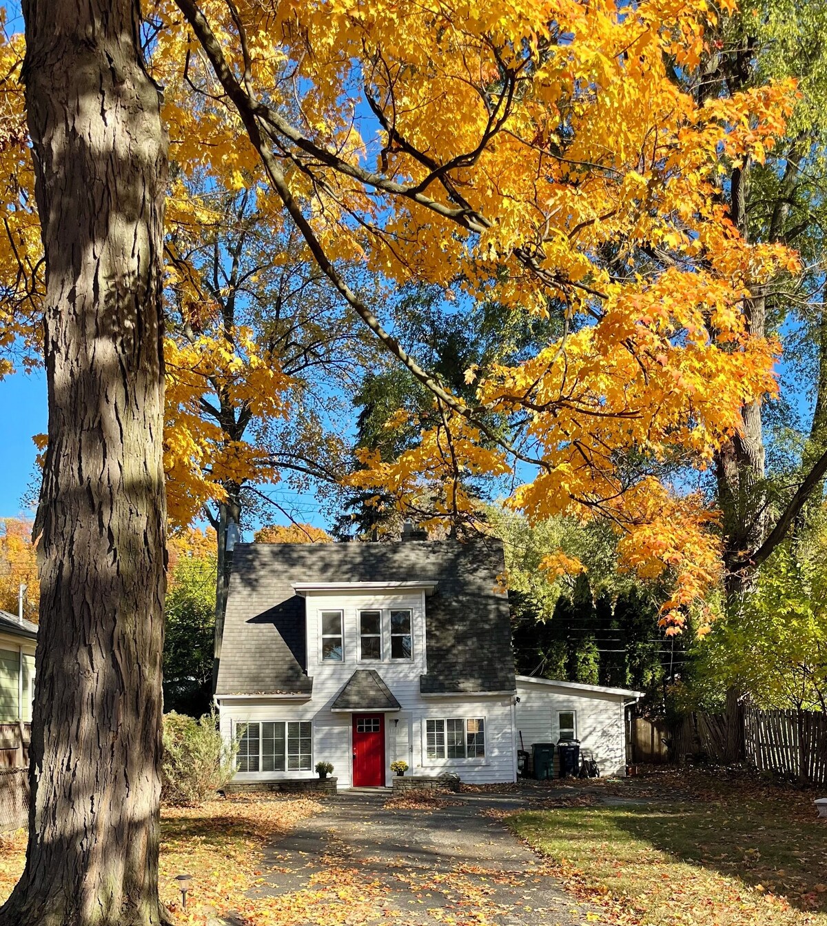 オーナーのプロフィール画像