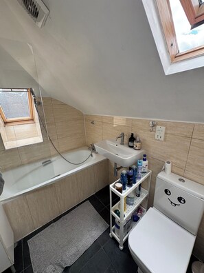 ヘアドライヤー、トイレットペーパー