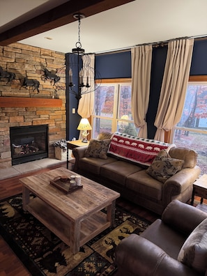 Smart TV, fireplace, DVD player, books