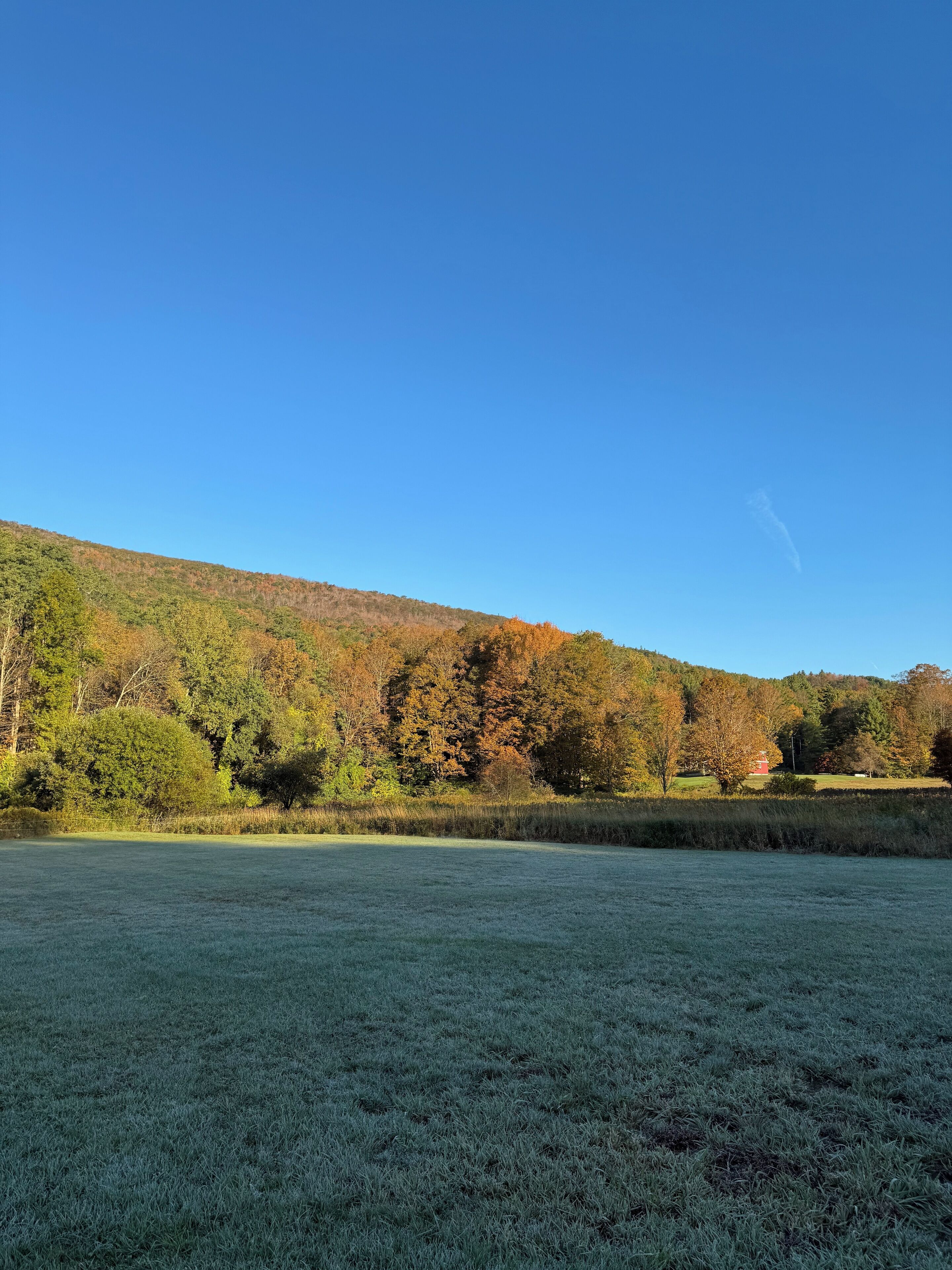 A clear view of a grassy field with a hill in the background.