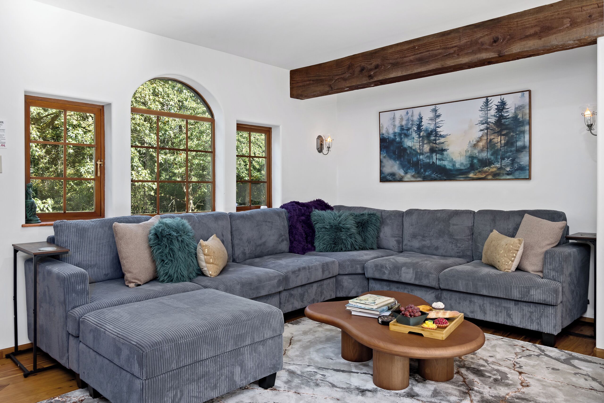 Smart TV, fireplace, books