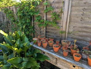 Property grounds - Artist's Hawkhurst Home with Heated Pool & Sauna (Hawkhurst)