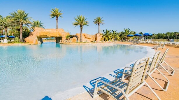 Una piscina con lettini e palme.