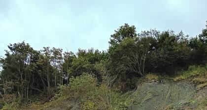 Countryside Caravan Retreat