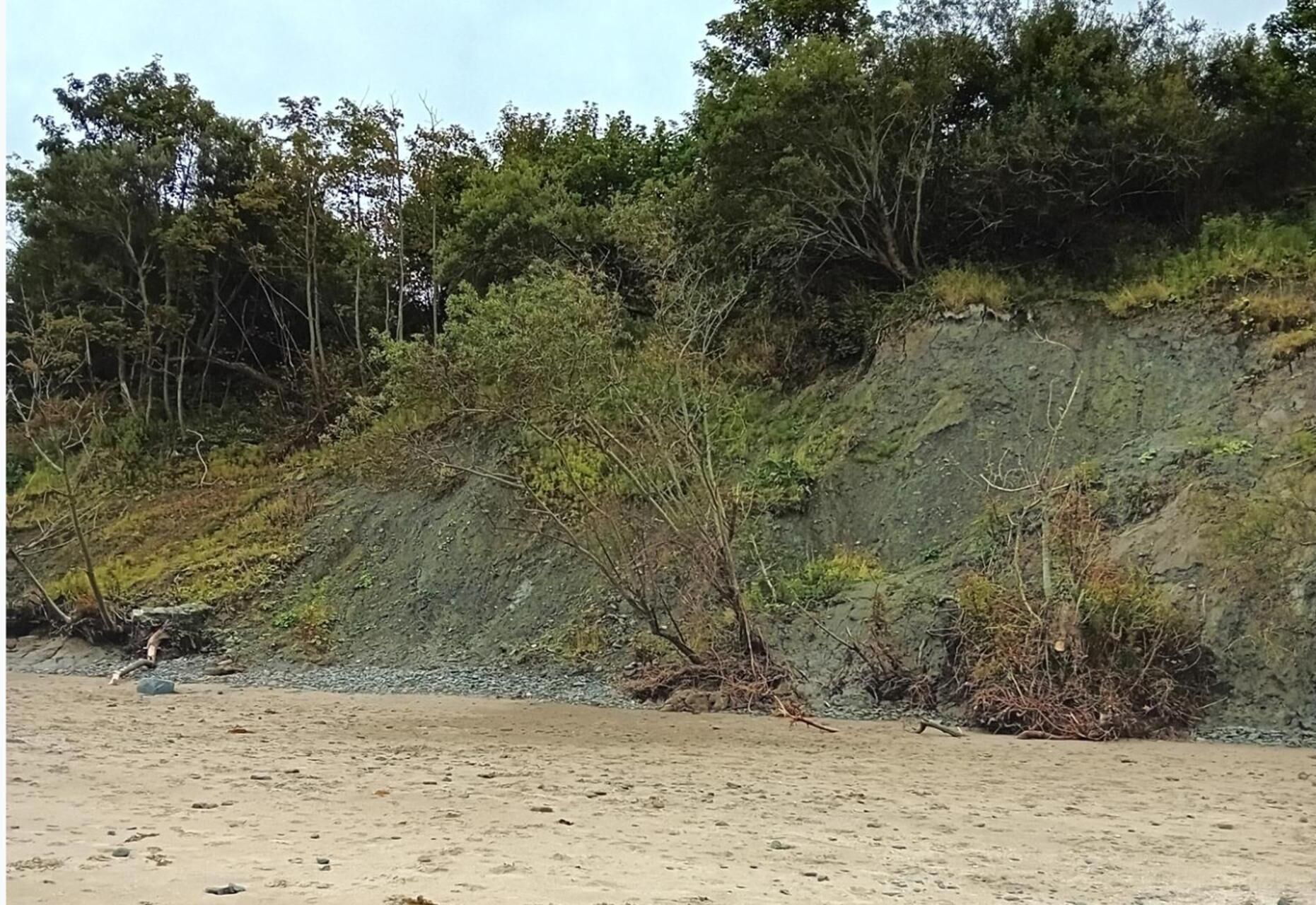 Pantai