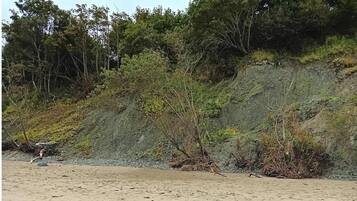 Pantai