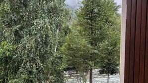 Une vue depuis une fenêtre donnant sur un jardin avec une rivière, des arbres et une structure en bois.