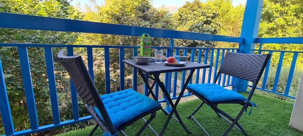 Image de profil de l’hôte