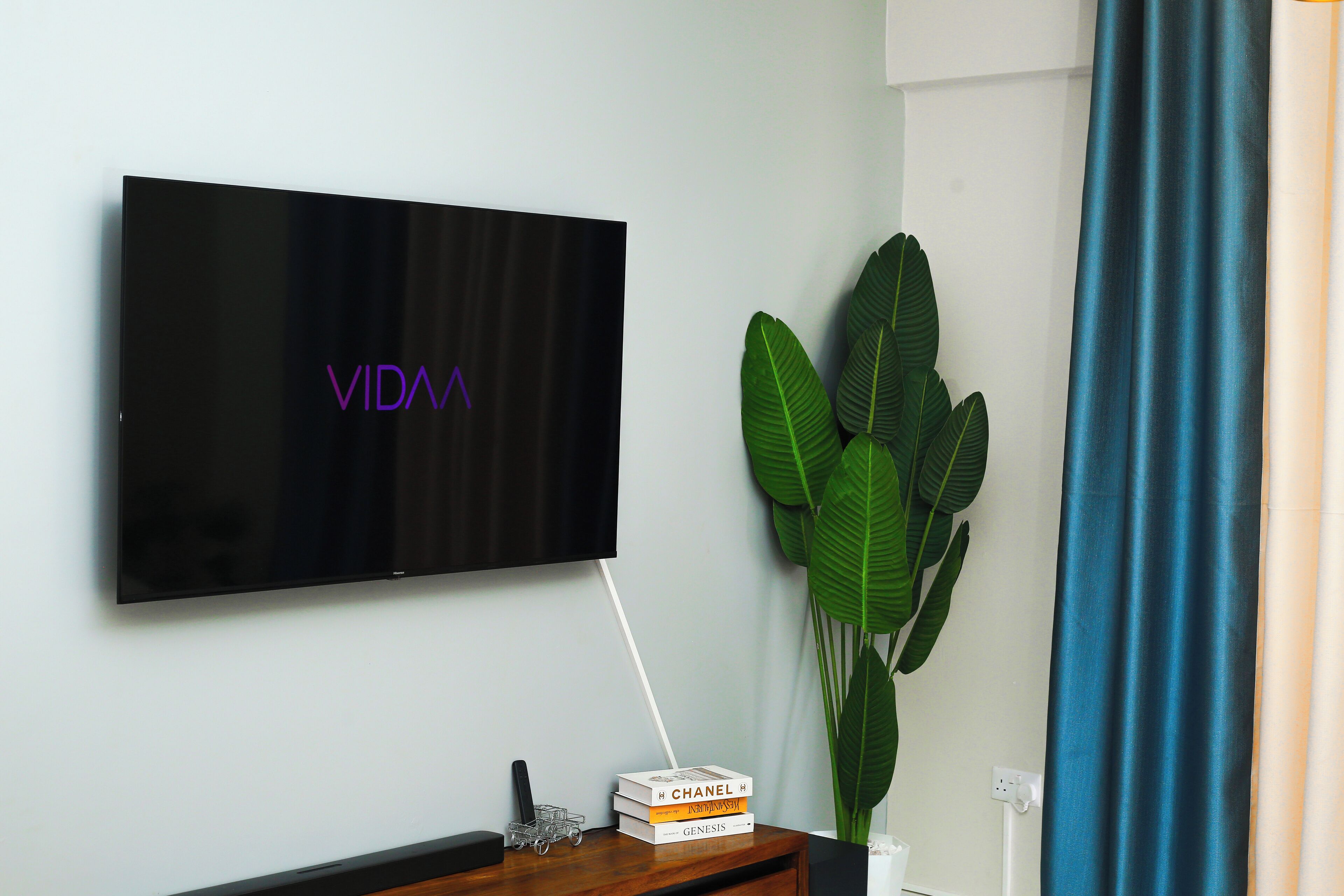 Una TV a schermo piatto fissata al muro, con la scritta "VIDA", una pila di libri, una piccola pianta e una tenda blu.