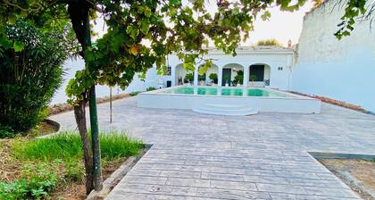 An oasis of relaxation at the gates of Seville