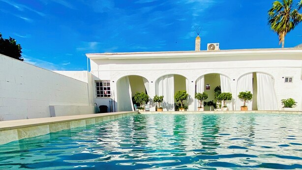 Une piscine à l’eau claire, un bâtiment blanc orné d’arches et un palmier.