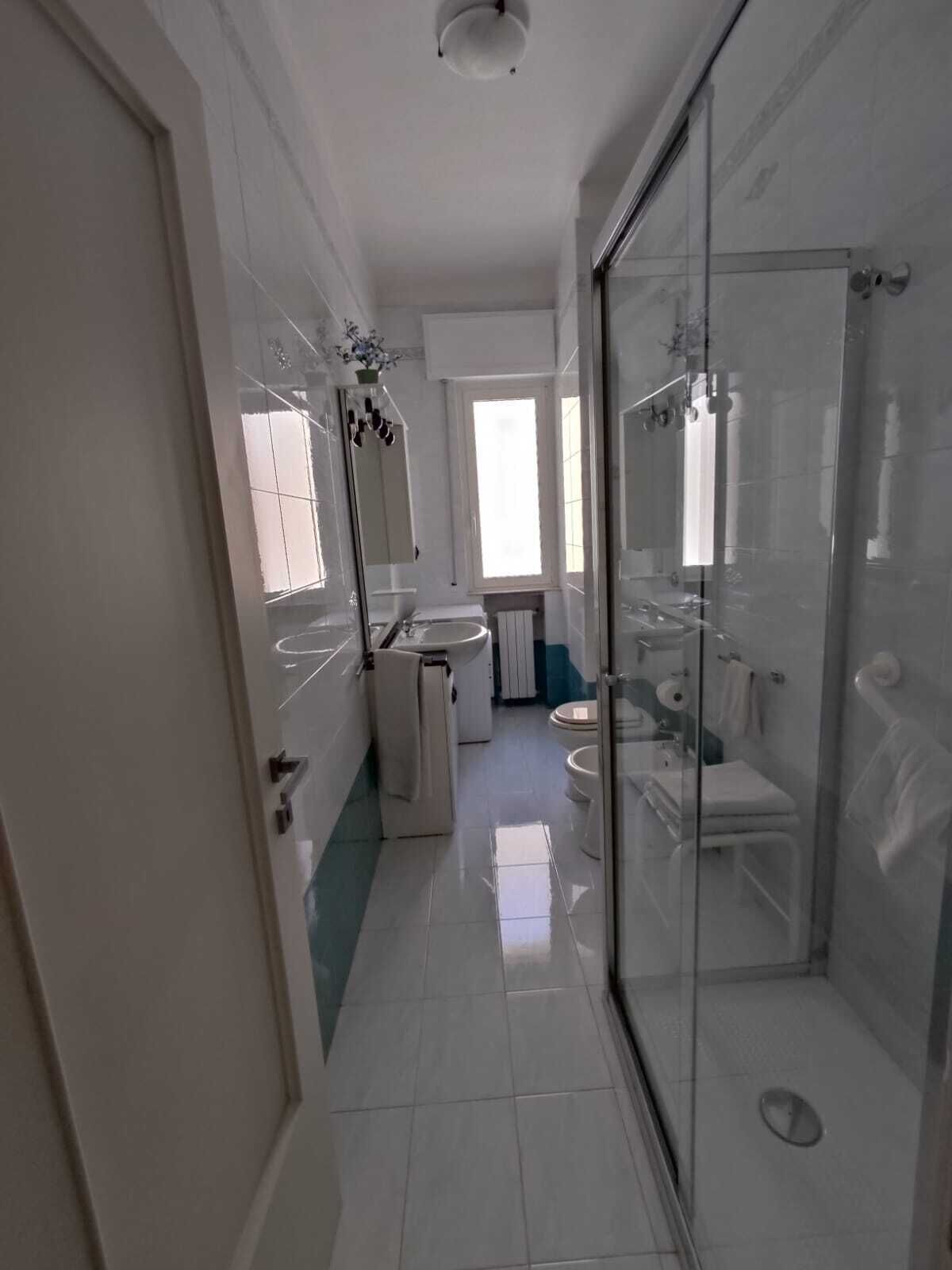 Hårtørrer, bidet, håndklæder, Sæbe