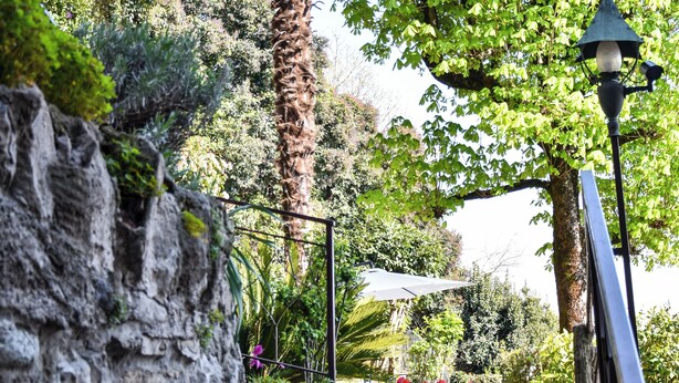 Una escalera de piedra que sube a un jardín con un farol y una palmera.