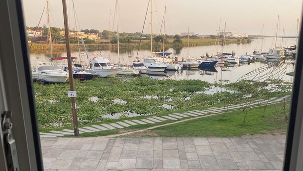 Vista desde el interior de un edificio hacia un puerto deportivo con barcos amarrados, un área verde y un camino pavimentado.