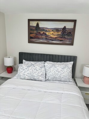 1 camera, ferro/asse da stiro, Wi-Fi, lenzuola