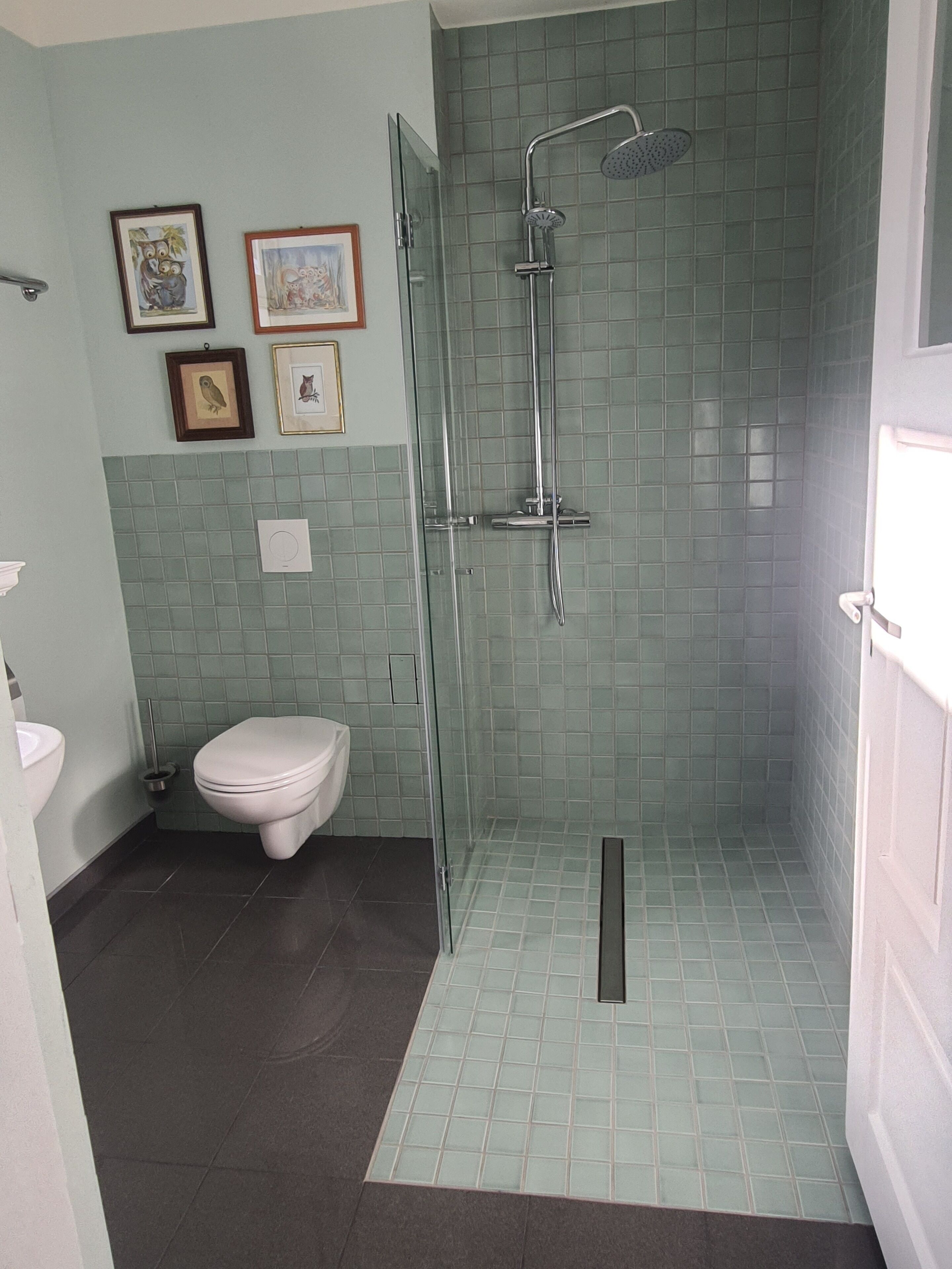 淋浴设施、吹风机、毛巾、肥皂