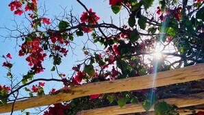 A wooden pergola with red flowers and a clear blue sky. - POUSADA LICOR DE CAJU (Cajueiro da Praia)