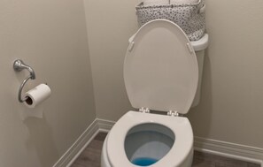 Secadora de cabello, toallas, jabón, papel de baño 