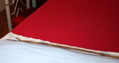 The Grapevine Hostel