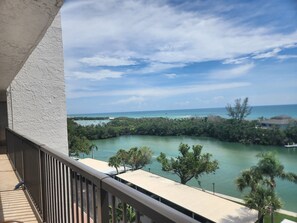 Property grounds -  Experience breathtaking views while kayaking from the bay to the Gulf Beach. (Sarasota)