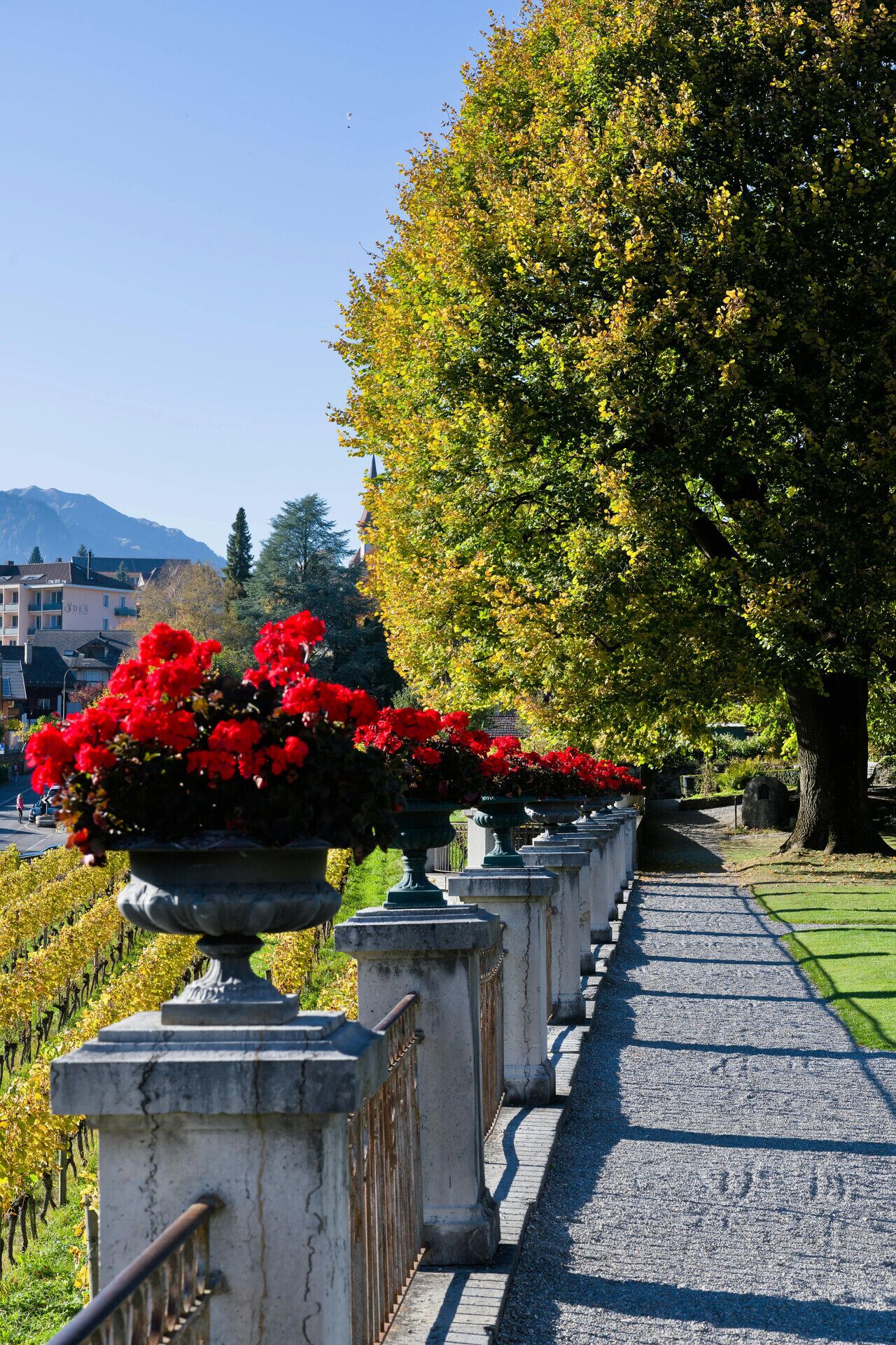 Àrea exterior de l'allotjament