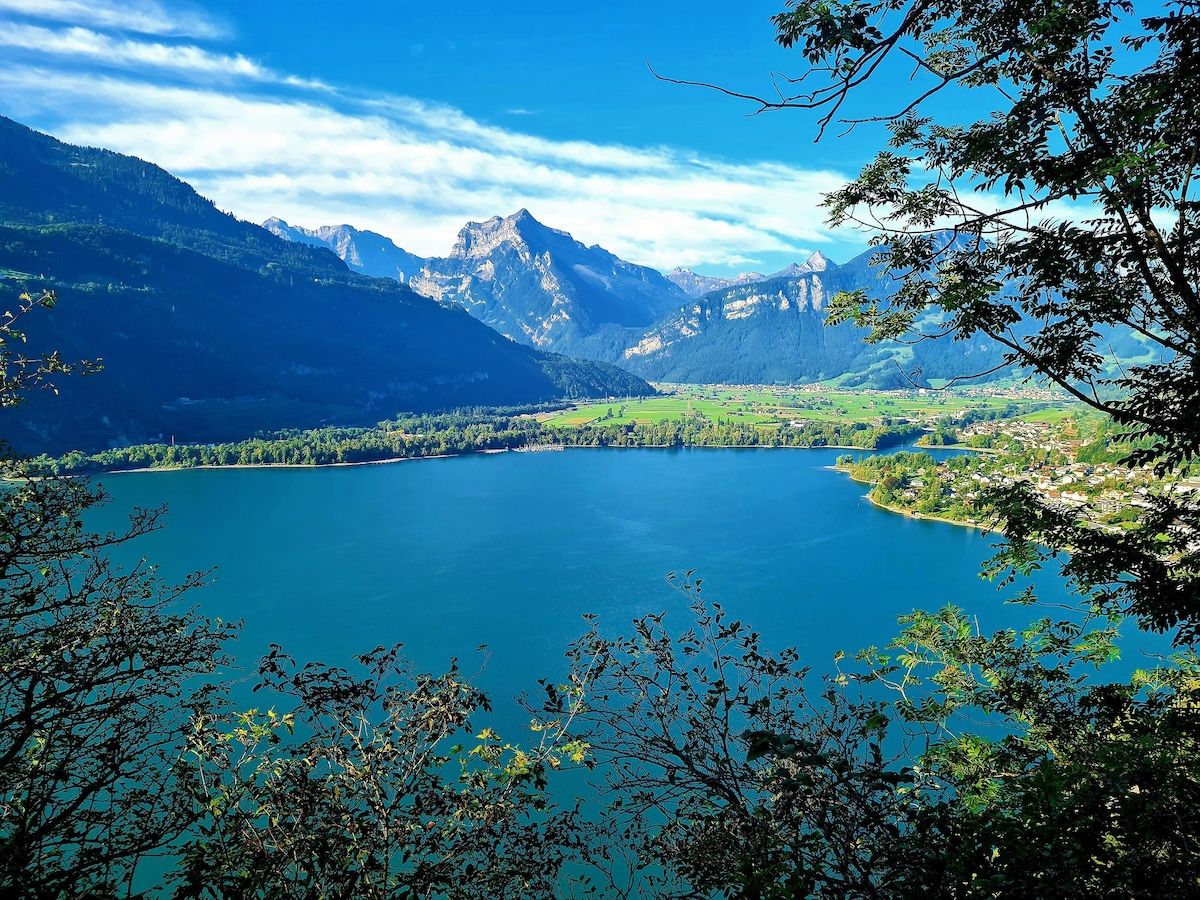 Ein See, umgeben von Bergen und Bäumen.