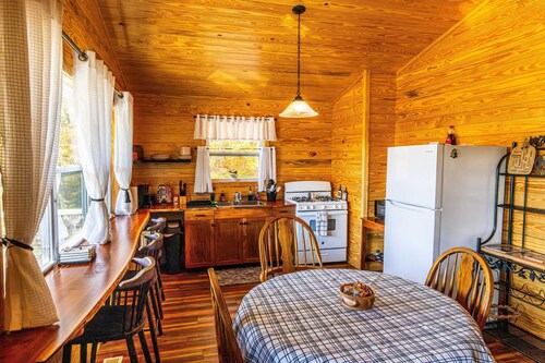 3-bedroom spacious cabin with game room, fishing pond, and Starlink.