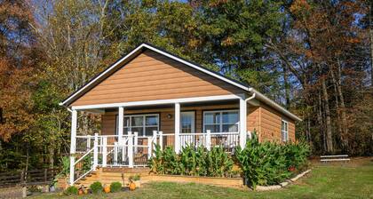 3-bedroom spacious cabin with game room, fishing pond, and Starlink.