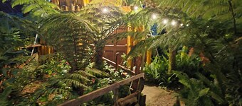 🌄 Cabañas Lecho de Flores, cerca de El Pital | Descanso y naturaleza 🌿