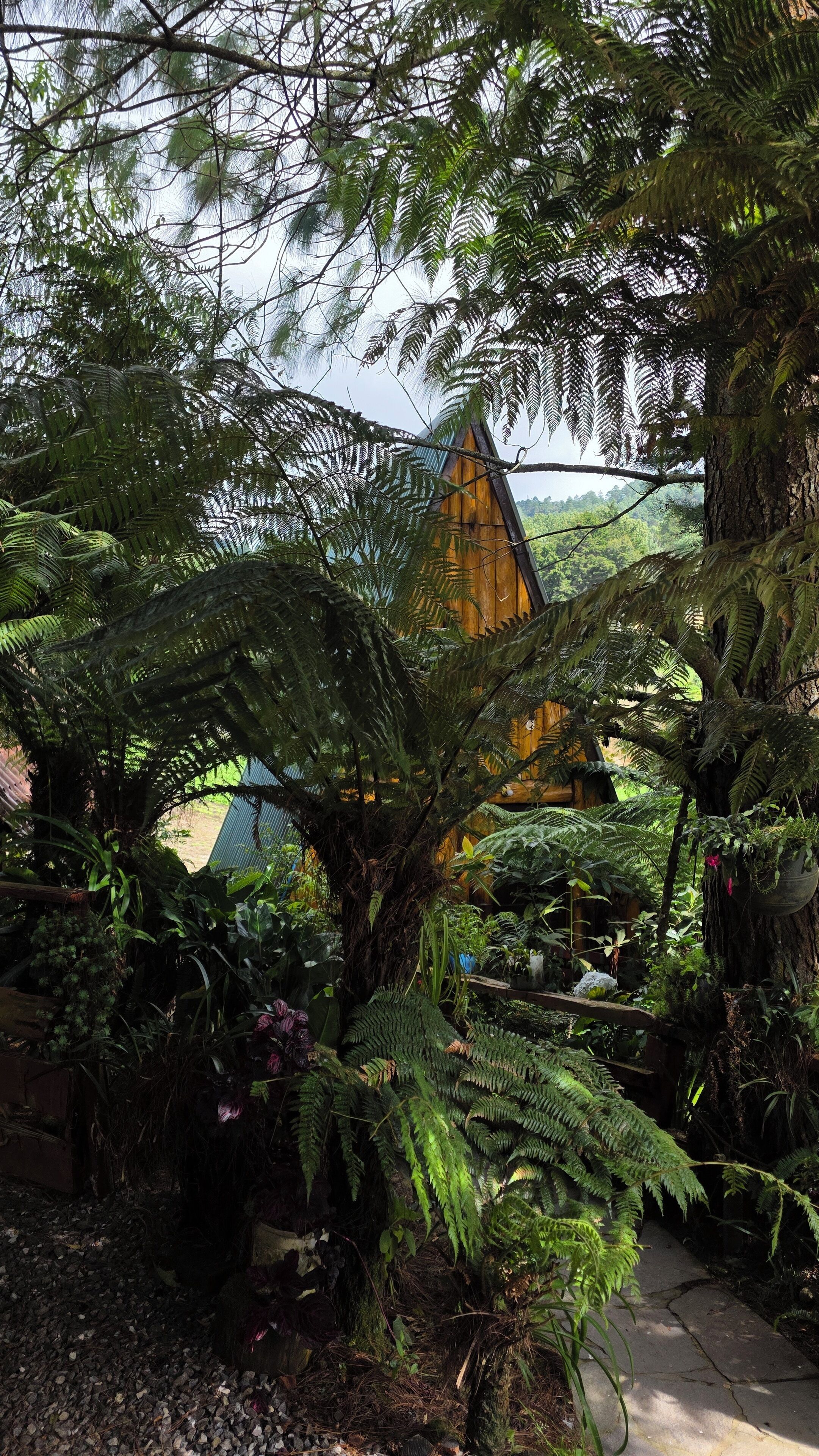 Overnattingsstedets uteområder