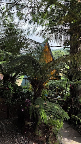 🌄 Cabañas Lecho de Flores, cerca de El Pital | Descanso y naturaleza 🌿