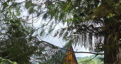 🌄 Cabañas Lecho de Flores, cerca de El Pital | Descanso y naturaleza 🌿