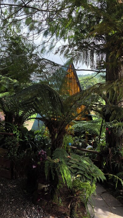 🌄 Cabañas Lecho de Flores, cerca de El Pital | Descanso y naturaleza 🌿