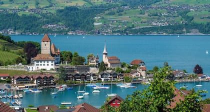 Apartment Niesen near lake & mountains, modern
