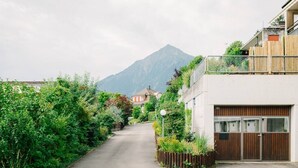 A narrow street lined with lush greenery and a mountain in the background. - Loftwohnung in Seenähe (Spiez)