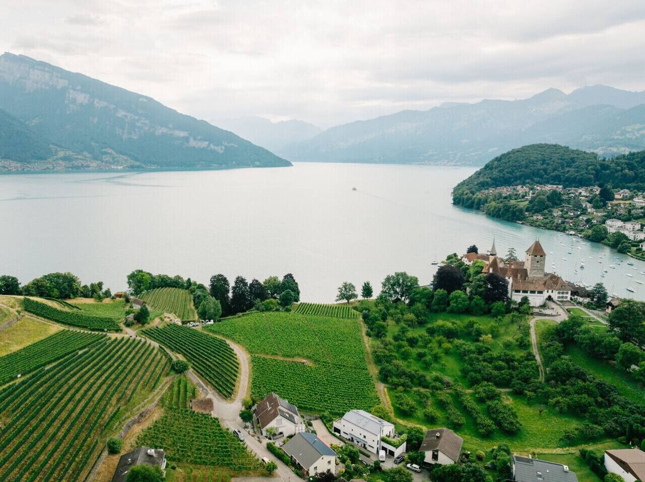Vista panorâmica de um lago rodeado por montanhas, vinhedos e uma construção que lembra um castelo, com uma torre.