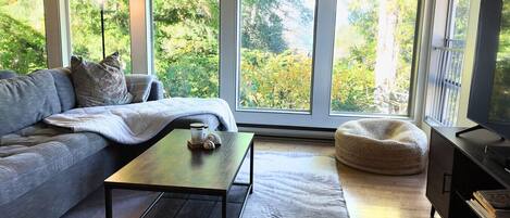 TV, fireplace, books