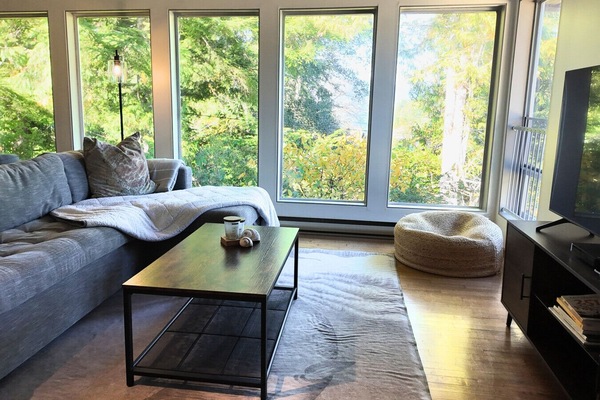 Cozy living room with a view. Sofa bed sleeps 2