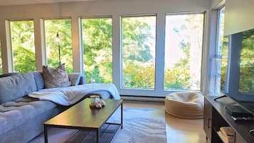 TV, fireplace, books