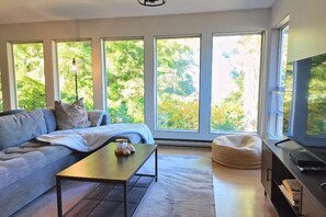 Een televisie, een open haard en boeken