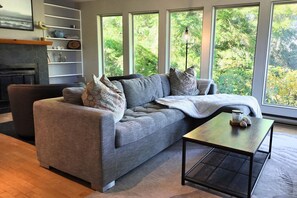 Televisor, llar de foc i llibres 