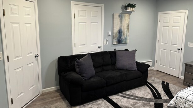 A room with a black sofa, two white doors, a ceiling fan, and a wall-mounted shelf with plants.