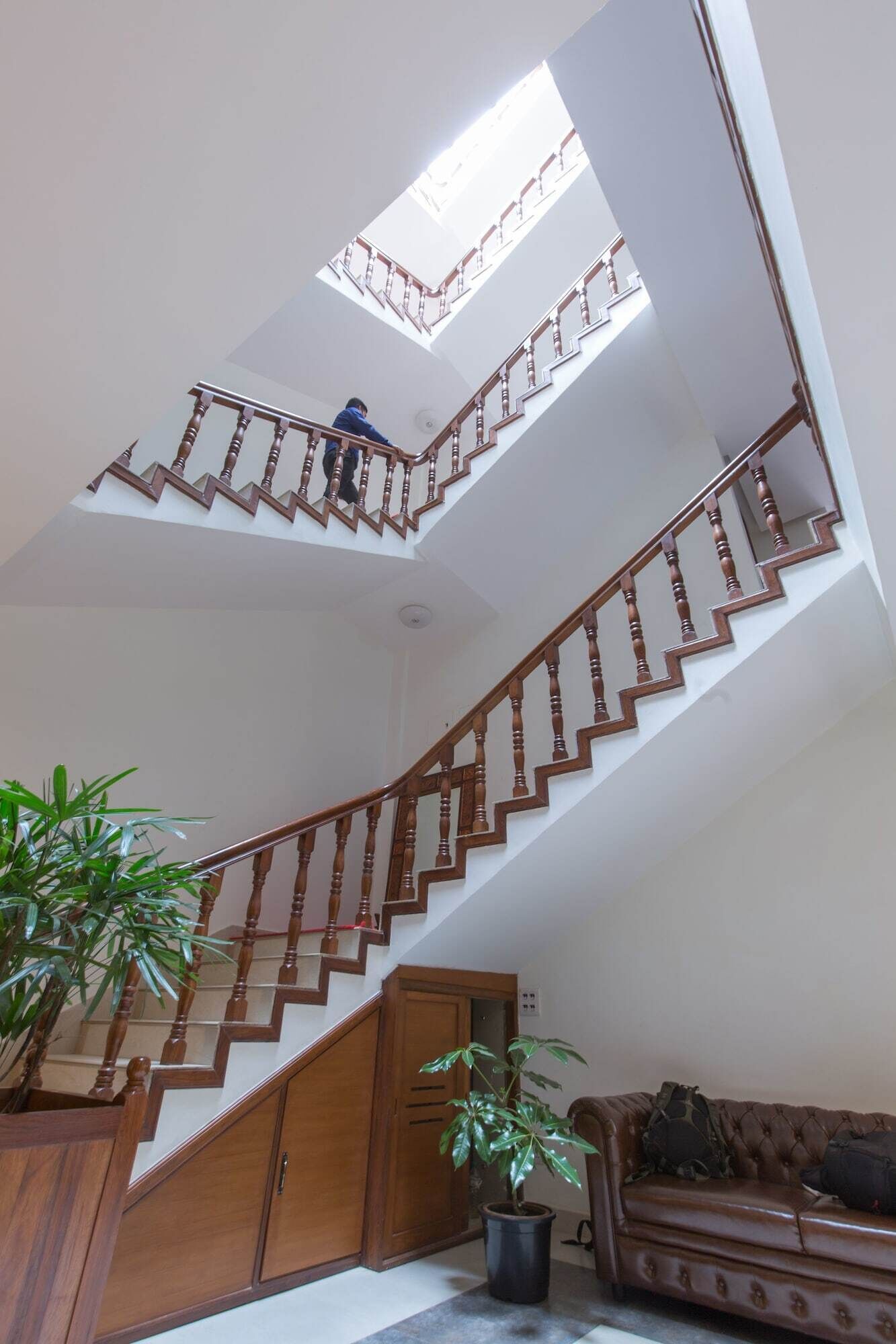 A multi-level wooden staircase with a glass ceiling, a potted plant, and a leather sofa.