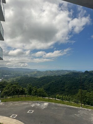 Property grounds - Brand New Luxe Condo - Amazing Ocean & Jungle Views (Parrita)