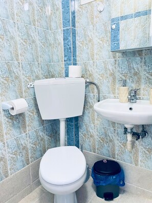 Ein Badezimmer mit Toilette, Waschbecken und einer blauen Mülleimer.